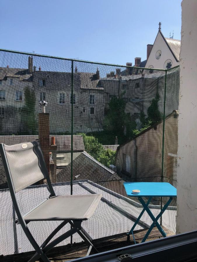 Cote Chateau - Grand Appartement Au Coeur De Blois Kültér fotó