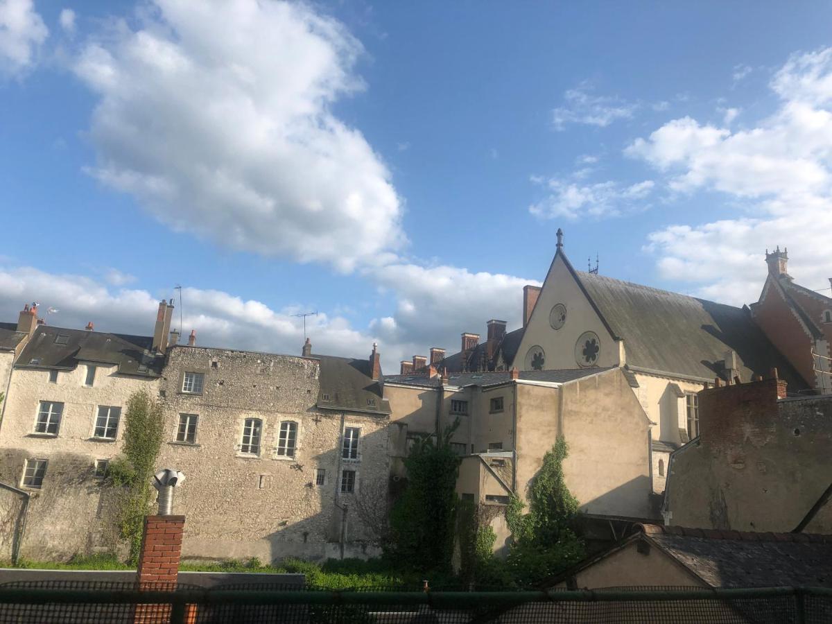 Cote Chateau - Grand Appartement Au Coeur De Blois Kültér fotó