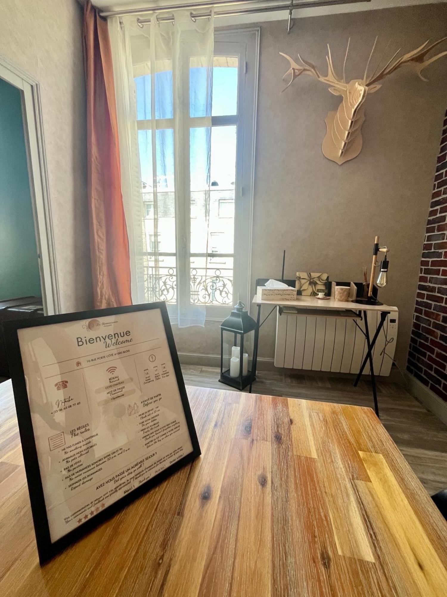 Cote Chateau - Grand Appartement Au Coeur De Blois Kültér fotó